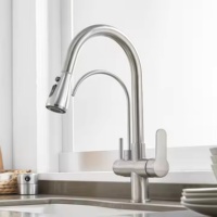 Robinet pulvérisateur moderne à double poignée en laiton poli Meybert, avec cartouche céramique, monotrou, à poser sur le plan, pour salle de bain d'hôtel