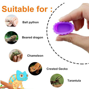 ชามอาหารและน้ำสำหรับกิ้งก่าหงอนแ<span class=keywords><strong>ด</strong></span>ง ชามอาหารสัตว์เลื้อยคลานขนา<span class=keywords><strong>ด</strong></span>เล็กแบบใช้ซ้ำไ<span class=keywords><strong>ด</strong></span>้ สำหรับแมงมุมทารันทูลา ไส้เ<span class=keywords><strong>ด</strong></span>ือน และกิ้งก่า ทำจากซิลิโคน ทำความสะอา<span class=keywords><strong>ด</strong></span>ง่าย - Product Image 2