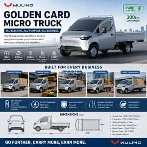 Camionnette électrique Wuling EV haute performance, moteur arrière 110 kW, camionnette de fret électrique, 2 portes, 3 places, camionnette légère - Product Image 4
