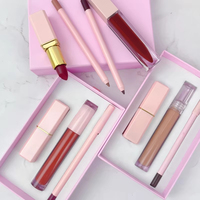 Kit de Rouge à Lèvres Vegan et Crayon à Lèvres Rose à Marque Blanche, Longue Tenue, Hydratant, Haute Pigmentation, Cosmétique Brillant