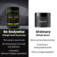 Penyerapan tinggi Shilajit Gummy Pectin berbasis campuran Vegan ramah alami suplemen pribadi Label OEM Non GMO