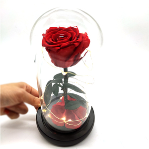 <span class=keywords><strong>Rosa</strong></span> real <span class=keywords><strong>preservada</strong></span> de La <span class=keywords><strong>Bella</strong></span> <span class=keywords><strong>y</strong></span> la <span class=keywords><strong>Bestia</strong></span> en cúpula de cristal con luz Led, regalo para el Día de San Valentín, venta al por mayor - Product Image 3