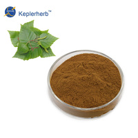Extrait de feuille de bouleau Betula Pendula 10:1 TLC, soutien naturel de la rétention d'eau, protection des reins, supplément détoxifiant, OEM en vrac