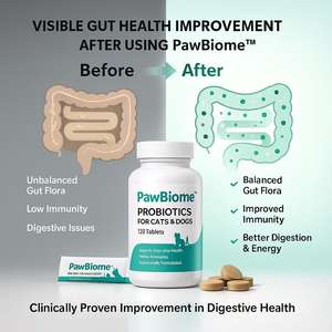 เม็ดเคี้ยวโปรไบโอติกสำหรับสัตว์เลี้ยงแบบกำหนดเองส่งเสริมสุขภาพของลำไส้ลดความไวและเพิ่มสุขภาพโดยรวม - Product Image 5