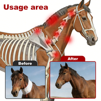 Enveloppeur de cou Zenjoy Horse à lumière rouge, petit modèle, 264 LED 660/850nm, pour la récupération musculaire, OEM/ODM, certification CE, rechargeable intégré