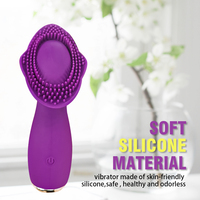 Mini Vibrator Sexspielzeug für Erwachsene Clitoris Vibrator Quiet Egg Vibrator G-Punkt Nippel Klitoris stimulierendes Spielzeug für Frauen