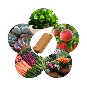 Les briques de coco sont utilisées pour planter des fleurs, sont compressées, ont une forte mousse, 20 * 10 * 5 cm, le sol est doux et fertile - Product Image 6