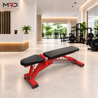 Banco de Pesas Ajustable, Inclinable, Declinable y Plano, para Ejercicios con Mancuernas, Abdominales y Entrenamiento de Fuerza, para Gimnasio o Club de Fitness
