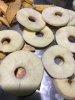 Vacuüm Voedsel Vriesdroger Voor Fruit Groenten Voedsel Energiebesparende JK-FD-10N