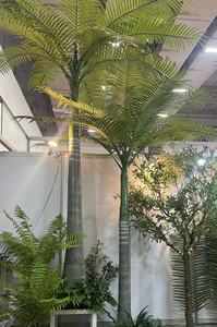 شجرة نخيل جوز الهند الاصطناعية الملكية الكبيرة والطويلة من البلاستيك والمعدن للزينة الخارجية للحدائق والشواطئ - Product Image 4