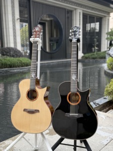 Guitarra acústica Bullfighter D-21 - Product Image 1