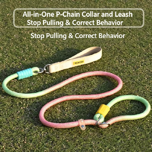 Customizable dog anti-explosion shock-proof P-string for medium-large-sized dogs, pet <b>rope</b>, dog <b>chain</b>, dog training <b>rope</b> - Product Image 2