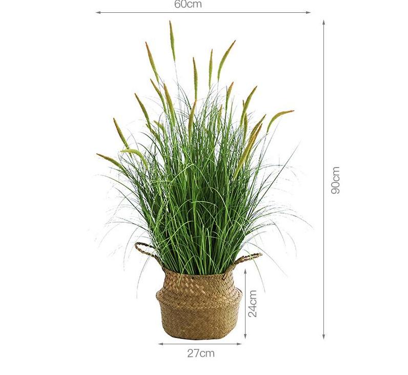 Pot de roseau Daylily 90 cm + GRAND panier en jonc de mer