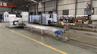 Vente en gros de qualité supérieure entièrement usine chinoise de fabrication de biscuits cornet de crème glacée gaufrés machine à fabriquer des gobelets à fleurs pour bol comestible