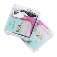 Vente en gros Top Quality Song Lashes Mat Silk Black Individual Private Label Eyelashes Wispy Fans Premiere Pro cc