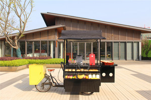 Tricycle de cargaison électrique OEM pour adultes vélo cargo personnalisé avec panier et 3 roues vélo café ouvert - Product Image 5