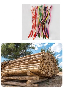 Bastoncini di <span class=keywords><strong>legno</strong></span> di <span class=keywords><strong>rami</strong></span> naturali artigianato fai da te materiale decorazione per la casa ornamento personalizzato - Product Image 6