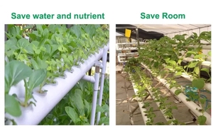 Kit de cultivo hidropónico Vertical de tubería de PVC para granja, sistema NFT con 72 agujeros, Kits de planta hidropónica para fresa o <span class=keywords><strong>lechuga</strong></span> - Product Image 5