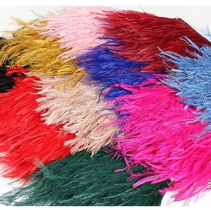 Hochwertige <span class=keywords><strong>Emu</strong></span>-Federborte Echte Federverzierung für Kleidungsrand-Dekoration Bekleidungs-Nähzubehör Party Bühnen-Kostüm Herstellungszubehör - Product Image 2