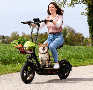 Nuevo Scooter Eléctrico Plegable 2026 con Llantas Neumáticas de 14 Pulgadas, Frenos Hidráulicos, Motor sin Escobillas de 600W, Carga de 120KG, Guardabarros Completos, Uso Todoterreno - Product Image 1