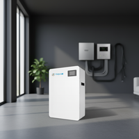 Batterie de stockage solaire TCHZ 5-10kW 51.2V/48V LiFePO4 200Ah, système hors réseau mural pour usage domestique