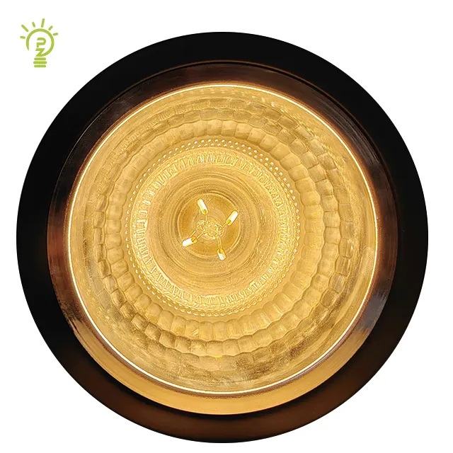 Hot Sale High Quality for Thailand Southeast Asia 3/3.5/4 Inch Down Light surface