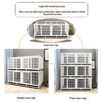 Cage d'élevage métallique à 3 niveaux pour chats et chiens avec séparateur, enclos double couche pour l'hébergement