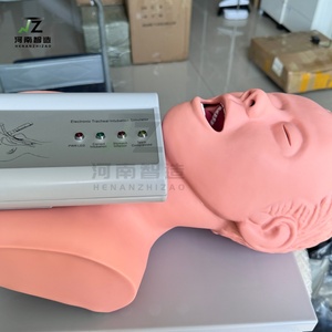 แบบจำลองฝึกหัดการใส่ท่อช่วยหายใจแบบอิเล็กทรอนิกส์พร้อมอุปกรณ์เตือนการกดทับฟัน - Product Image 2
