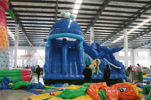 ערכת תיקון לאביזרי מגלשת מים מתנפחת מפוליוויניל כלוריד (PVC) חיצונית של מפעל בן 31 שנה, עם בריכה ומנוע, במבצע - Product Image 3