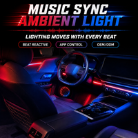 Kit d'éclairage d'ambiance universel pour voiture en acrylique, bande LED RGB 12V, garantie 1 an, modification de l'intérieur de la voiture, OEM personnalisé, vente en gros