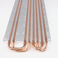 Placa de Enfriamiento Líquido de Acero Inoxidable con Doble Tubo de Calor, de Alta Potencia, para Refrigeración, Servicios de Doblado, Corte y Soldadura, Marca Bw 1