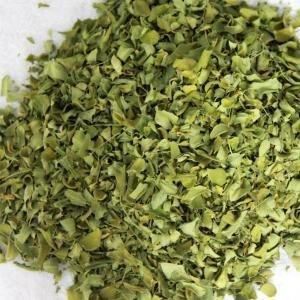 Oferta Especial: Hojas de Moringa Frescas, Orgánicas y Naturales Secadas al Aire para Preparación de Té, Procesamiento de Polvo y Productos para la Salud, Disponibles para Exportación - Product Image 4