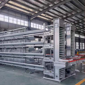 Nieuwe ODM merk H-type automatische legkippenhouderij apparatuur 304 roestvrijstalen batterijkooi automatische eierenverzamelmachine - Product Image 2