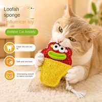 Jouet pour chat en éponge de loofah, tendance, anti-anxiété, écologique, résistant aux déchirures, pour le nettoyage et la mastication des dents