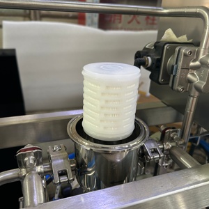 Élément de filtre à air, filtre à gaz pour bioréacteur, fermenteur, éventail de diffusion, oxygénation - Product Image 5