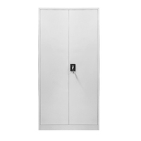 Besoins de bureau d'armoire en métal avec serrure à clé et classeur en acier pour un stockage sécurisé de bureau