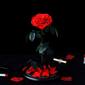 Rosas Auténticas Lovebay para <span class=keywords><strong>el</strong></span> Día de San Valentín, Rosas Eternas Preservadas, Rosas Naturales Preservadas en Cúpula de Cristal - Product Image 3