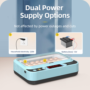 Incubadora-Incubadora automática de huevos de pollo, pequeño tamaño, Para <span class=keywords><strong>Codorniz</strong></span> Pollos - Product Image 6