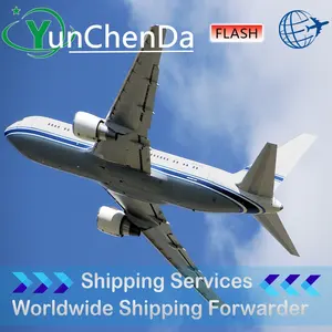 YCD DDP Air Freight Sea Freight Door to door forwarder FBA heapest logistics shipping rates from China to Argentina business