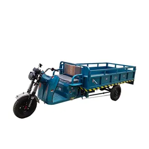 China Factory Easy And Convenient 40Km Tricycle Electric Trikes 3 Wheel Adults Electric Tricycle
