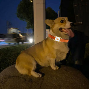 Rastreador inteligente antipérdida para mascotas, rastreador de etiqueta de alarma BT para bolso de niños, billetera de coche para perro y gato, localizador de llavero de teléfono - Product Image 5