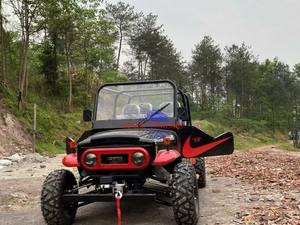 Véhicule agricole tout-terrain MH 4x4 à transmission automatique par chaîne, 200cc, 2 places, mini buggy côte à côte, 351-450HP, garantie 2 ans, à vendre - Product Image 4