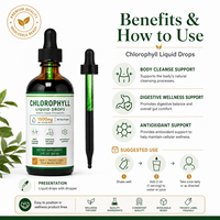Gotas de Clorofila Líquida de Marca Privada, Alta Potencia para Desintoxicación y Apoyo Energético, Suplemento Vegano a Base de Plantas Sin OMG, OEM/ODM