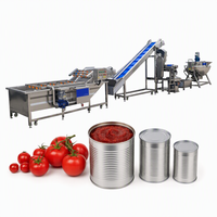 Ketchup- en sausproductielijn, kleine tomatenpuree-verwerkingsmachine, ketchupproductielijn, ketchupmachine