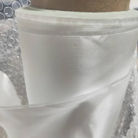 E fibre de verre tissé itinérant en armure toile pour bateau et planche de surf fibre de verre Cloth100g 200g prix bon marché