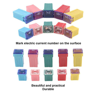 15A 20A 25A 30A 40A 60A bảo hiểm vi mô Ô Tô Cầu chì cắm vuông - Product Image 3