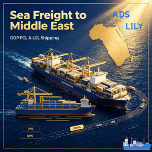 Transitaire DDP à faible coût vers l'Algérie, acceptant les produits liquides, en poudre et de santé (batteries incluses), livraison porte-à-porte - Product Image 3