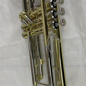 <span class=keywords><strong>Trompeta</strong></span> de Latón Amarillo <span class=keywords><strong>con</strong></span> Afinación BB, Diseño Famoso, Tamaño Bell 123cm, para una Interpretación Fácil - Product Image 4