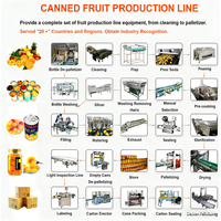 Ligne d'élevage et de lavage pré-impulsionnement pour pommes de terre, fruits et légumes - 500 kg, motorisée, en acier inoxydable SUS 304/316, haute capacité, commande automatique