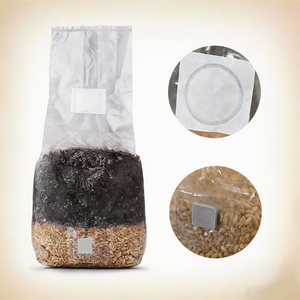 ถุงเพาะเห็ด PP ขนาด 13*12*50 ซม. 20*12*50 ซม. 25*14*60/65 ซม. สำหรับเห็ดนางรม/เห็ดชิตาเกะ/เห็ดนางรมราชา/เห็ดหัวสิงห์ พร้อมช่องฉีด - Product Image 1